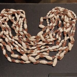 Tropical Natural Fresh Shell Beads